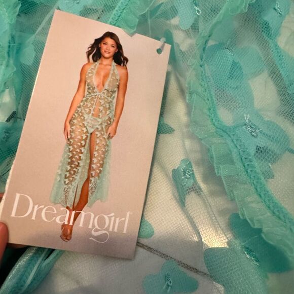 Dreamgirl Sheer Lace Dress in Aqua#1 - Picture 1 of 8